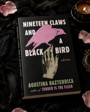 Nineteen Claws and a Black Bird: Stories