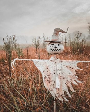 rustic white metal scarecrow yard stake