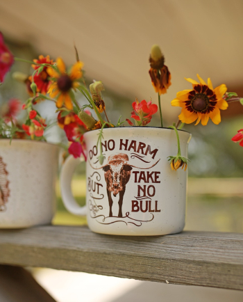 White Do no Harm, But Take no Bull Mug 