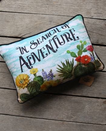 in search of adventure pillow