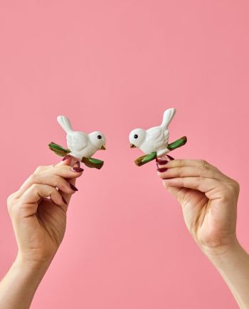 Hands holding two small white bird figurines perched on branches against a pink background.