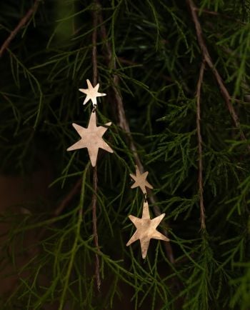 starlet earrings