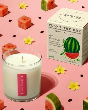 Ripe Watermelon Plant the Box Candle