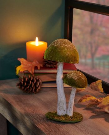 Mushroom Sitter