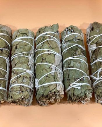 eucalyptus/white sage bundle