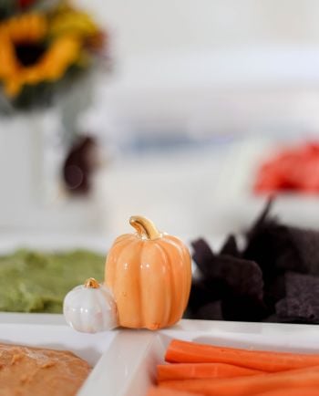 nora fleming pumpkin spice mini