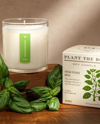 Fresh Picked Basil Plant the Box Candle