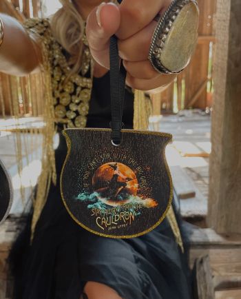 stir with the big girls cauldron wine tag