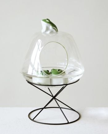 Stoneware Floating Frog