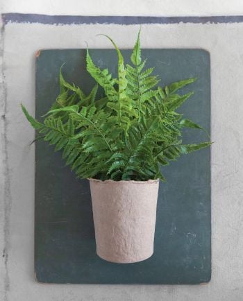 13.5" faux fern