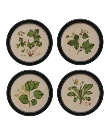 botanical print framed decor