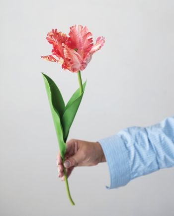 faux tulip stem