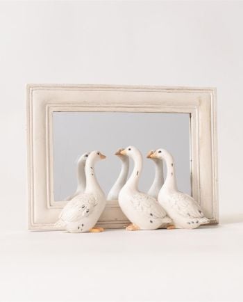 geese peeking mirror