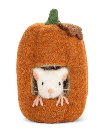 peekaboo mouse in pumpkin