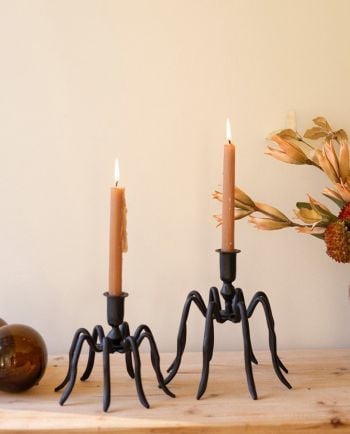 cast iron spider taper candleholder