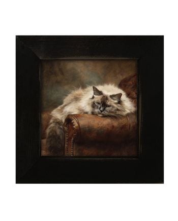 ragdoll cat armchair framed art