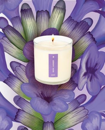 Heath Lavender Plant The Box Candle