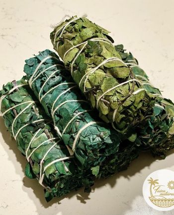 eucalyptus smudge bundle