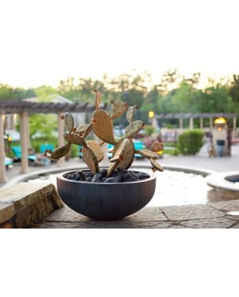 Desert Steel Prickly Pear - Redondo