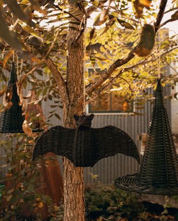 basket weave bat