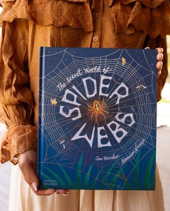 The Secret World of Spiderwebs
