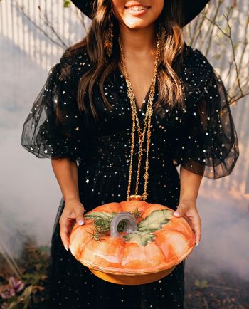 Harvest Fields 3-D Pumpkin Covered Pie Carrier