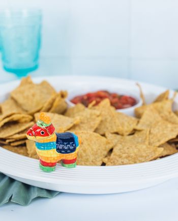 nora fleming party animal mini