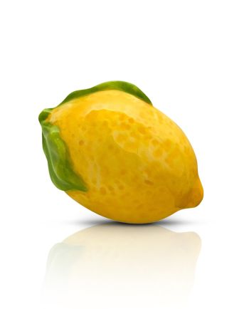 nora fleming lemon squeeze mini