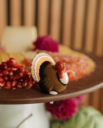 nora fleming gobble gobble! mini