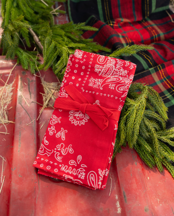red bandana napkin -  set of 4