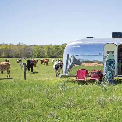 Billie Joe Armstrong’s Zen Surf Shack Airstream